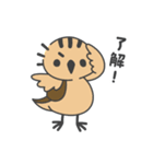 たしカニくん と ふシギちゃん（個別スタンプ：25）
