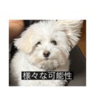 ルネ（字幕入り）（個別スタンプ：5）
