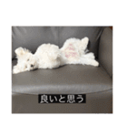 ルネ（字幕入り）（個別スタンプ：6）