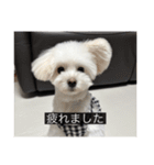 ルネ（字幕入り）（個別スタンプ：7）