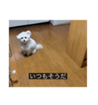 ルネ（字幕入り）（個別スタンプ：16）