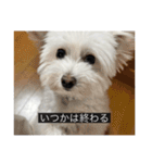 ルネ（字幕入り）（個別スタンプ：18）