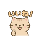 ねこのゆるっとごあいさつ（個別スタンプ：1）