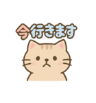 ねこのゆるっとごあいさつ（個別スタンプ：11）