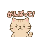 ねこのゆるっとごあいさつ（個別スタンプ：15）