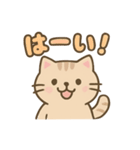 ねこのゆるっとごあいさつ（個別スタンプ：16）
