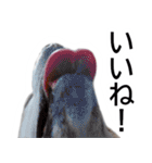 わんダフル マーチ2（個別スタンプ：2）