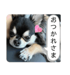 チクワのきもち14（個別スタンプ：2）