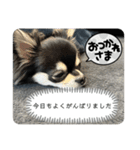 チクワのきもち14（個別スタンプ：4）