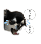 チクワのきもち14（個別スタンプ：8）