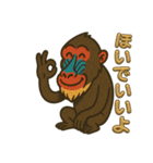 三河弁・岡崎・安城のマンドリルさん（個別スタンプ：31）