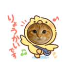 “Kawaii Cats”（個別スタンプ：1）