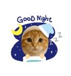 “Kawaii Cats”（個別スタンプ：2）