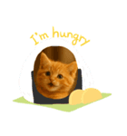 “Kawaii Cats”（個別スタンプ：4）