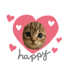 “Kawaii Cats”（個別スタンプ：6）