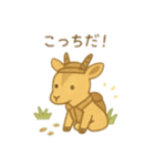 可愛い動物達の探検隊② 日本語（個別スタンプ：6）