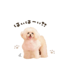 こむぎ.おもち.おだんごちゃんst（個別スタンプ：4）