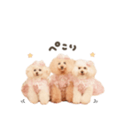 こむぎ.おもち.おだんごちゃんst（個別スタンプ：5）