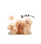 こむぎ.おもち.おだんごちゃんst（個別スタンプ：7）