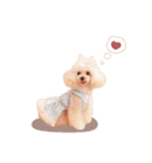 こむぎ.おもち.おだんごちゃんst（個別スタンプ：25）