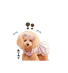 こむぎ.おもち.おだんごちゃんst（個別スタンプ：27）