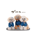 こむぎ.おもち.おだんごちゃんst（個別スタンプ：30）