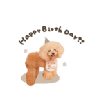 こむぎ.おもち.おだんごちゃんst（個別スタンプ：31）