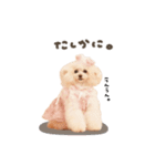 こむぎ.おもち.おだんごちゃんst（個別スタンプ：32）