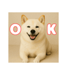 ほっこり白柴の日常（個別スタンプ：5）