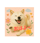 ほっこり白柴の日常（個別スタンプ：9）