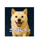 ほっこり白柴の日常（個別スタンプ：10）
