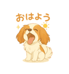 耳たれパピヨンのロイくん（個別スタンプ：1）
