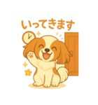 耳たれパピヨンのロイくん（個別スタンプ：5）