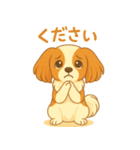 耳たれパピヨンのロイくん（個別スタンプ：15）
