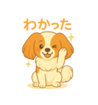 耳たれパピヨンのロイくん（個別スタンプ：16）