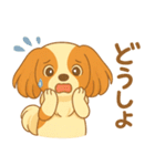 耳たれパピヨンのロイくん（個別スタンプ：18）