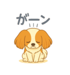 耳たれパピヨンのロイくん（個別スタンプ：22）