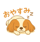耳たれパピヨンのロイくん（個別スタンプ：26）