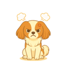 耳たれパピヨンのロイくん（個別スタンプ：33）