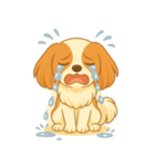 耳たれパピヨンのロイくん（個別スタンプ：34）