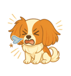 耳たれパピヨンのロイくん（個別スタンプ：37）