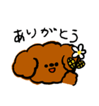 ゆるゆるトイプードルちゃんスタンプ（個別スタンプ：5）