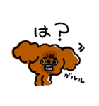 ゆるゆるトイプードルちゃんスタンプ（個別スタンプ：9）