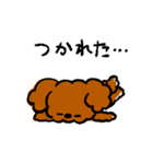 ゆるゆるトイプードルちゃんスタンプ（個別スタンプ：10）