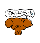 ゆるゆるトイプードルちゃんスタンプ（個別スタンプ：16）