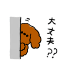 ゆるゆるトイプードルちゃんスタンプ（個別スタンプ：32）