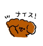 ゆるゆるトイプードルちゃんスタンプ（個別スタンプ：33）