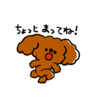 ゆるゆるトイプードルちゃんスタンプ（個別スタンプ：35）