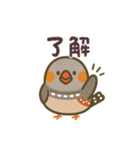 チュンたんの鳴き声（個別スタンプ：7）