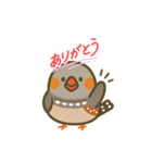 チュンたんの鳴き声（個別スタンプ：8）